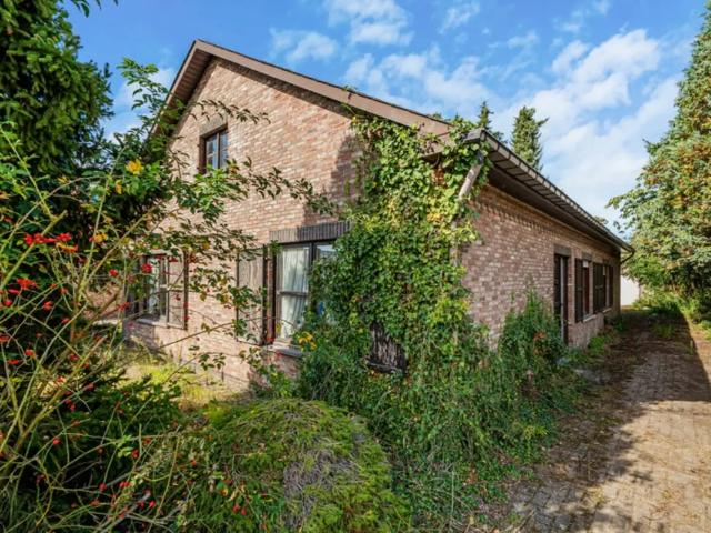 à vendre Maison Olen Lijsterstraat