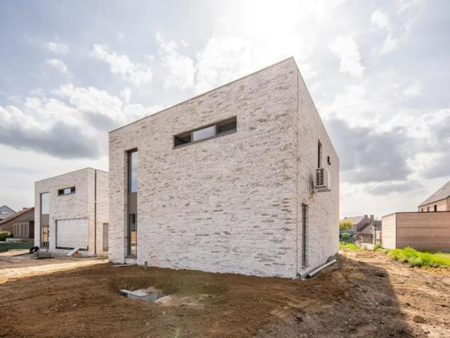 à vendre Maison Opglabbeek Dalstraat