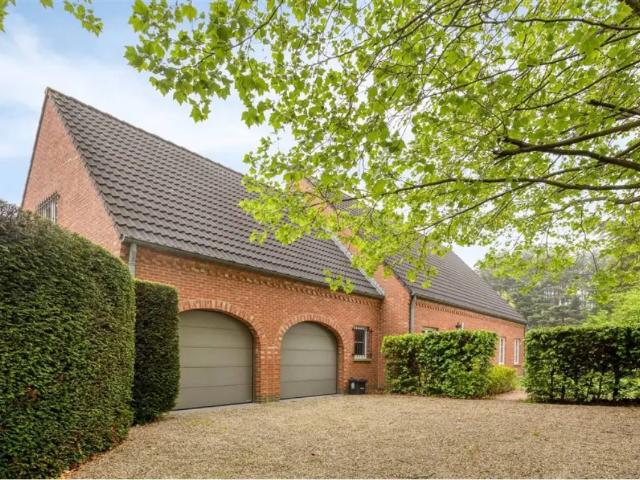 à vendre Maison Overijse Vliertjeslaan