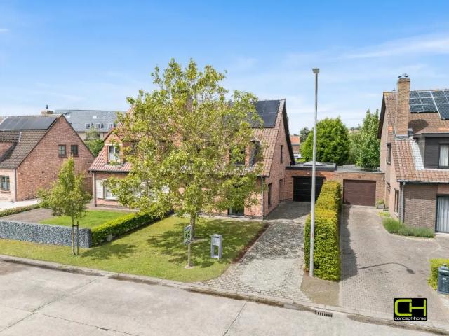 à vendre Maison Lovendegem Wijnzilver