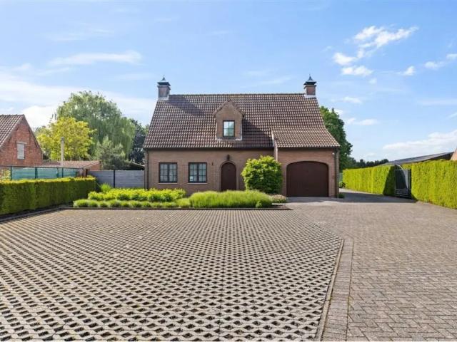 à vendre Maison Lokeren Weststraat