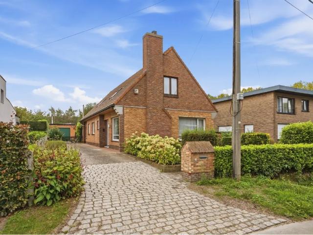 à vendre Maison Lokeren Sinaaistraat