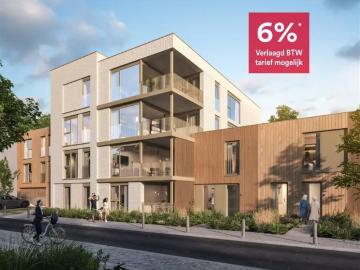 3920, Arrondissement de Maaseik, Limbourg, Flandre, Flandre