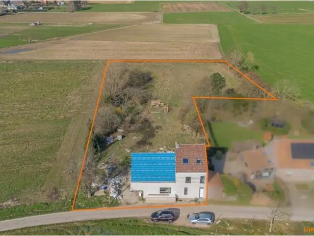 à vendre Maison Londerzeel Pluimennest