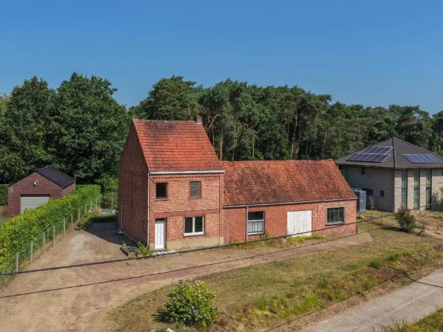 à vendre Maison Langdorp Molenheidestraat