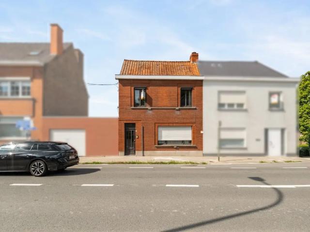 à vendre Maison Leupegem Leupegemstraat