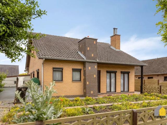 à vendre Maison Maaseik Zandbergerstraat