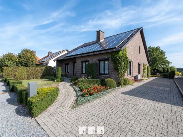 à vendre Maison Maaseik Niesstraat