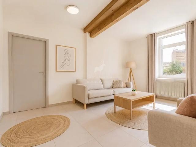 à vendre Maison Marchienne au Pont