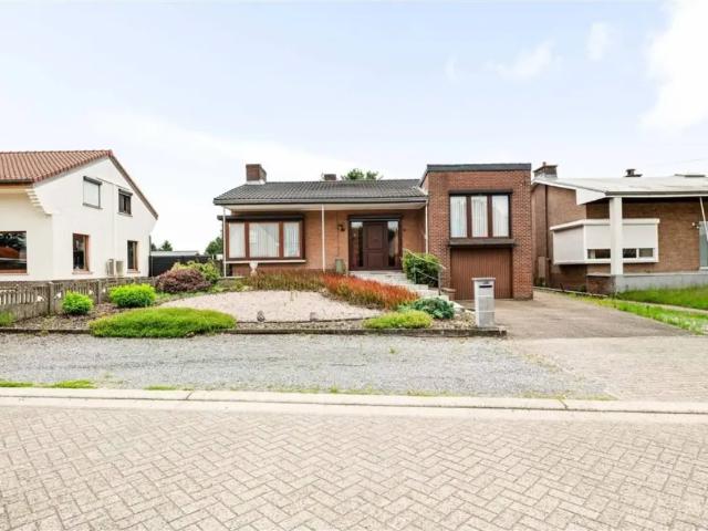 à vendre Maison Meerhout Kapellestraat