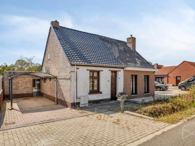 à vendre Maison Meerhout Kiezel
