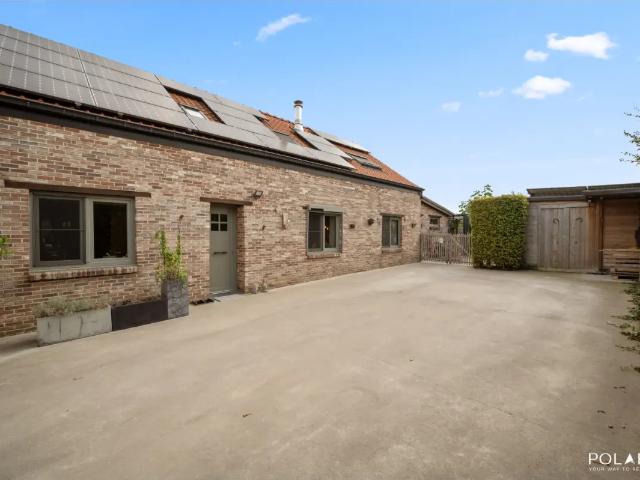à vendre Maison Nederokkerzeel Driesstraat