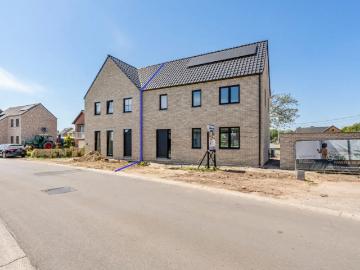 3680, Arrondissement de Maaseik, Limbourg, Flandre, Flandre