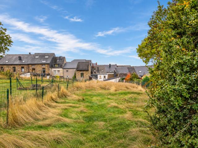 à vendre Maison Saint Hubert Rue du Mont
