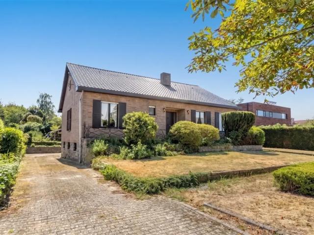 à vendre Maison Scherpenheuvel Zichem Mercuriuslaan