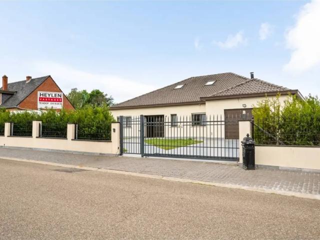 à vendre Maison Scherpenheuvel Zichem Brielstraat