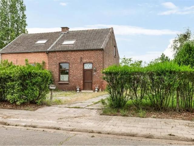 à vendre Maison Pelt Hotelstraat