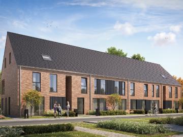 8800, Roeselare, Roulers, Flandre-Occidentale, Flandre