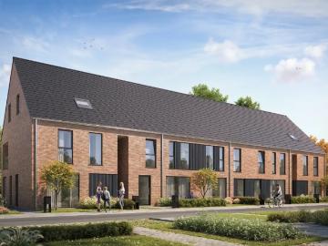 8800, Roeselare, Roulers, Flandre-Occidentale, Flandre