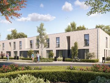 8800, Roeselare, Roulers, Flandre-Occidentale, Flandre
