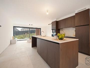 9600, Audenarde, Flandre orientale, Flandre