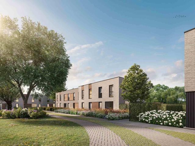 à vendre Maison Renaix Lorettestraat