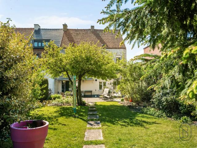 à vendre Maison Renaix Zonnestraat