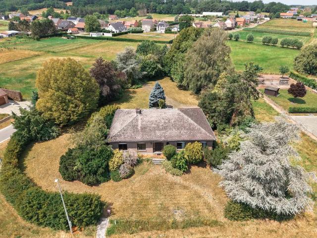 à vendre Maison Rillaar Molendreef