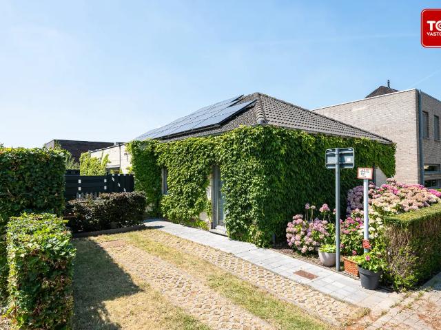 à vendre Maison Wondelgem Lindemeers