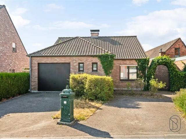 à vendre Maison Wachtebeke Molenhoek