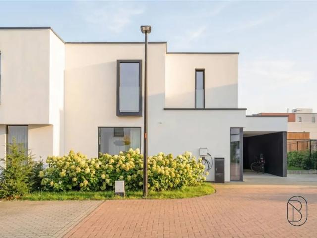 à vendre Maison Waregem Groeningeveld