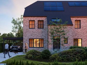 9230, Termonde, Flandre orientale, Flandre