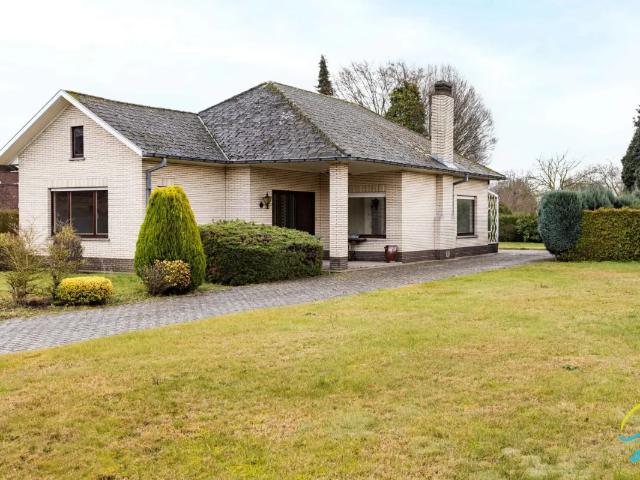à vendre Maison Wichelen Schoolstraat