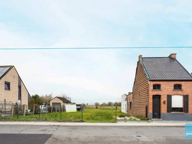 à vendre Maison Wichelen Steenakker