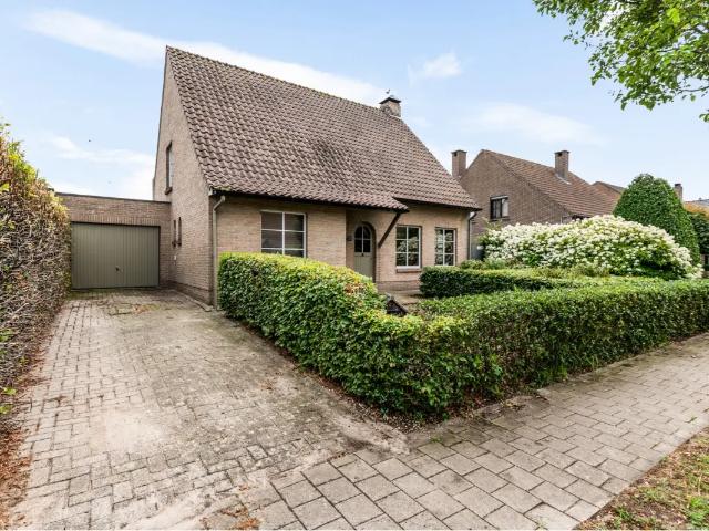 à vendre Maison Wuustwezel Wachelbergen