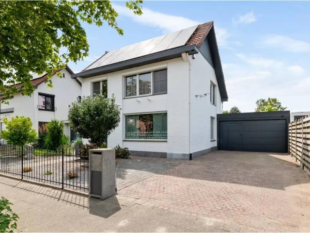 à vendre Maison Wuustwezel Wippenbergstraat