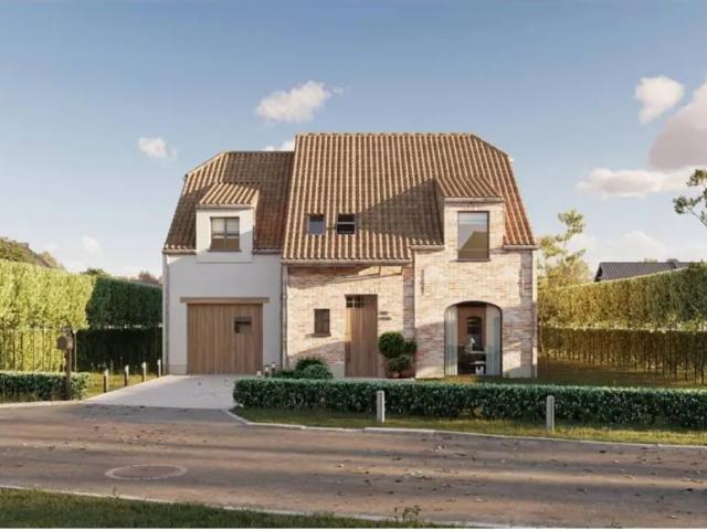 à vendre Maison Temse Beeldstraat