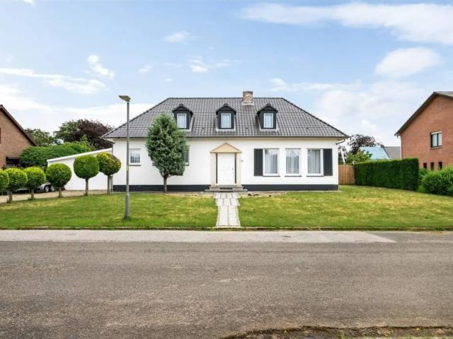 à vendre Maison Tessenderlo Biesdelle