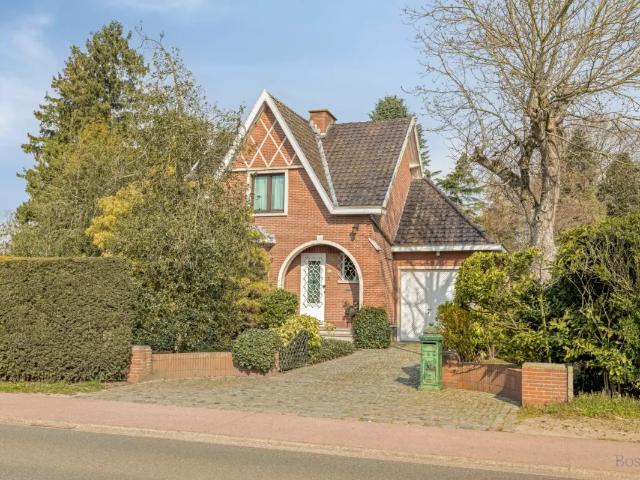 à vendre Maison Tessenderlo Schoterweg