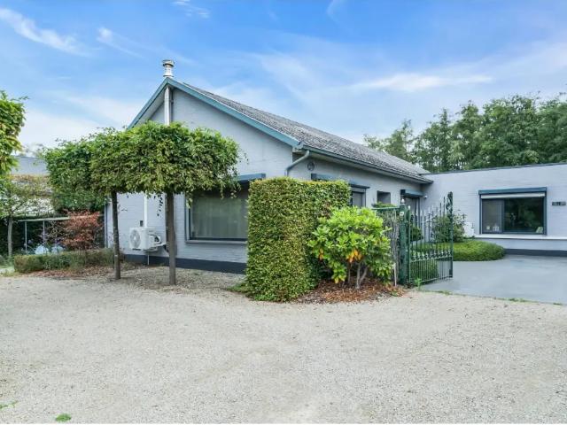 à vendre Maison Tessenderlo Sparrenweg