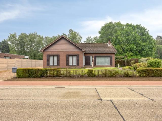 à vendre Maison Tessenderlo Paalseweg
