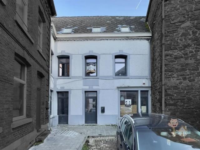 à vendre Maison Thuin
