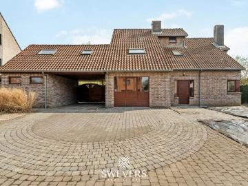 à vendre Maison Zolder Bieststraat