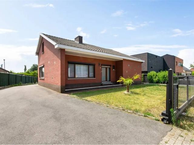 à vendre Maison Zonhoven Moleneindeweg