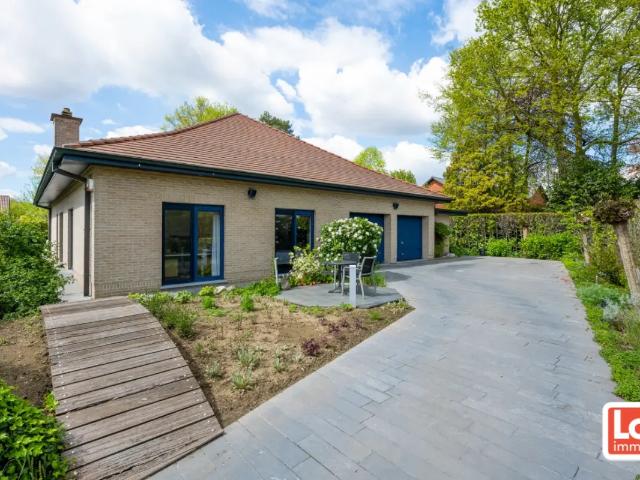 à vendre Maison Zaffelare Ranonkelweg