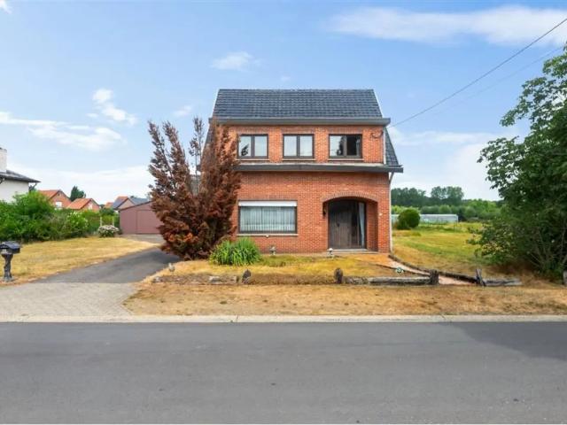 à vendre Maison Zelem Tuinwijkstraat