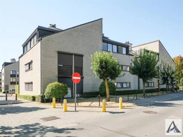 à vendre Penthouse Beringen Pieter Bruegelstraat