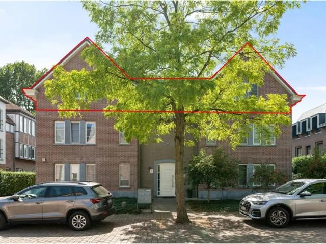 à vendre Penthouse Geel Korenbloemstraat