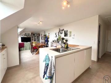 8792, Waregem, Arrondissement de Courtrai, Flandre