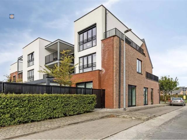 à vendre Penthouse Oppuurs Kattestraat